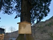 Investor Tm̖_Ђ̓eʐ^3