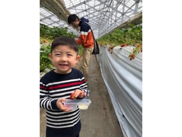 ���������ł��S�R�C�P�܂��i���q�͂���Ȃ����Č����Ă܂����j_���c�_��