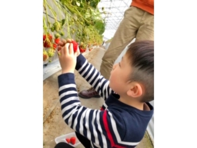 �q�ǂ����A�H�ׂ����C�`�S��H�ׂ���������_���c�_��