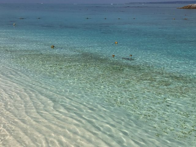 C̓xɂтт_}Vbv }[Ch