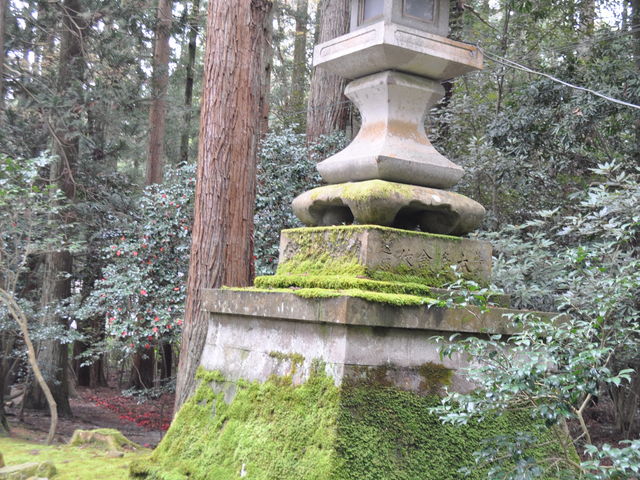 �ۂނ����Γ��U_�\�F�_��