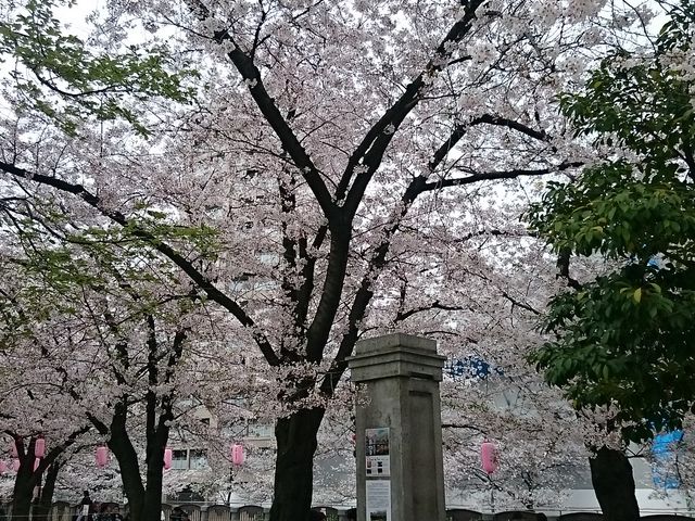 �ڂ̑O�͍������J_�A�N���X����