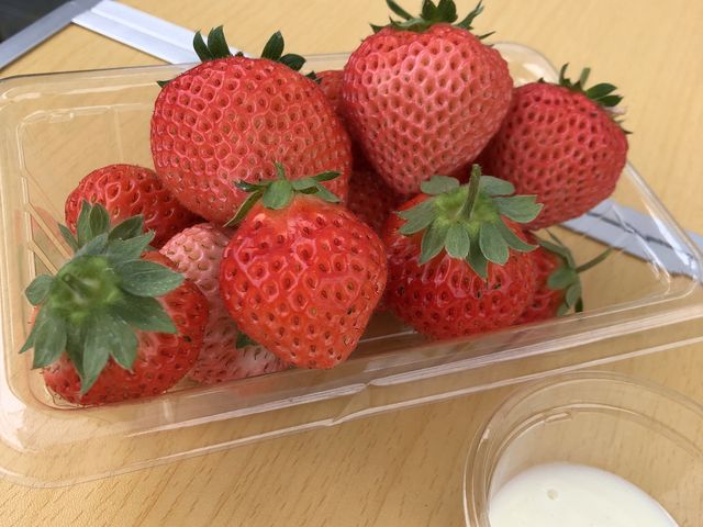 ���������ō���_���邢������