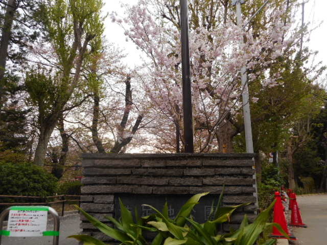 �����r�����̍�