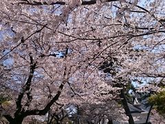 񂿂񂳂̏qւ̓eʐ^1