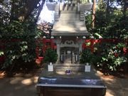 �g��������̖��ꑽ�_�Ђ̓��e�ʐ^1