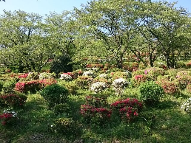 ܂܂̓֎̃ccW̓eʐ^1