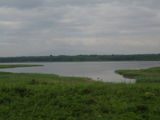 ���Ԗ{���̎ԑ�����_������