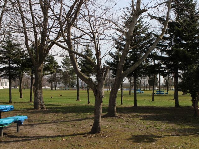 �Ő��L��_���̏o����