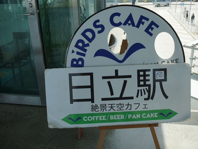 V[o[YJtF̊Ŕ_SEA BiRDS CAFEiV[o[YJtFj