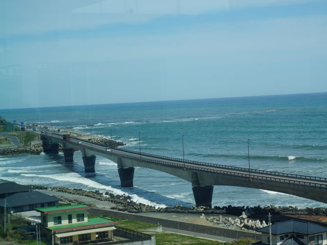 X̖kBe_SEA BiRDS CAFEiV[o[YJtFj