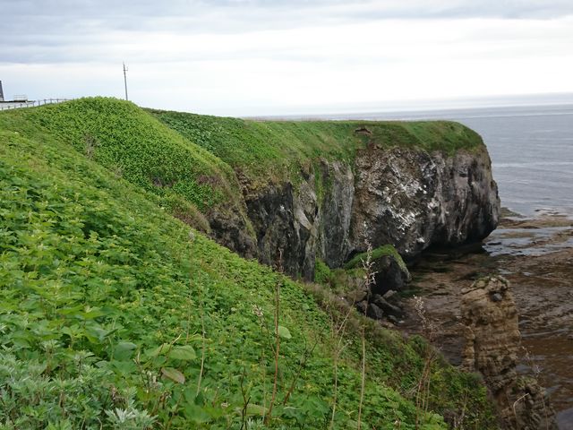 �\�斦�C��