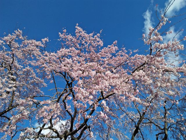 7���痂���ϐ�_�։�����