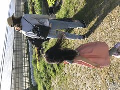 N̗R̋x sE|́iԂ肩jւ̓eʐ^1