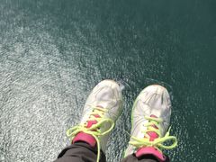 䂩񂳂̏MCpOC_[̌ւ̓eʐ^1