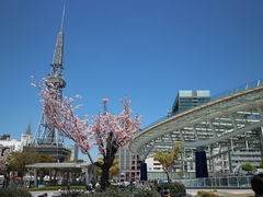 ݁[̃IAVXQPւ̓eʐ^1