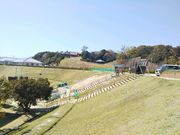 saaaõEFlXp[NܐF̓eʐ^1