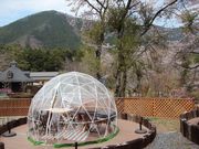 jkammy07̓̉w ̓eʐ^2