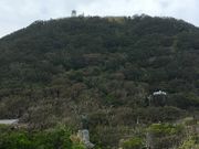 poporon̒TYW]̓eʐ^3