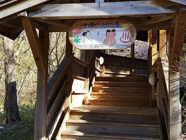 �����C�ɂȂ���L��_���򌤉���