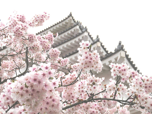 20190421�߃���_�߃�������̍�