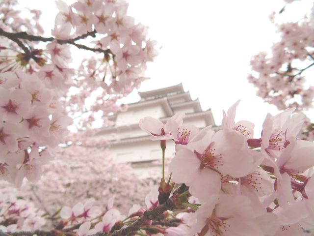 20190421�߃���_�߃�������̍�