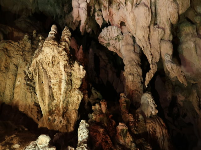 �哴�A�Ǝ����__���͓�