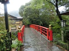 ɂǂ񂳂̌jւ̓eʐ^1