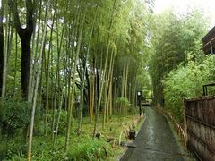 ɂǂ񂳂̌jւ̓eʐ^2