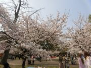 �܂܂ς񂾂���̑V����Ռ����̍��̓��e�ʐ^1