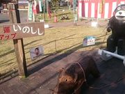 Xkv̓̉wkI@ؗVق̓eʐ^1