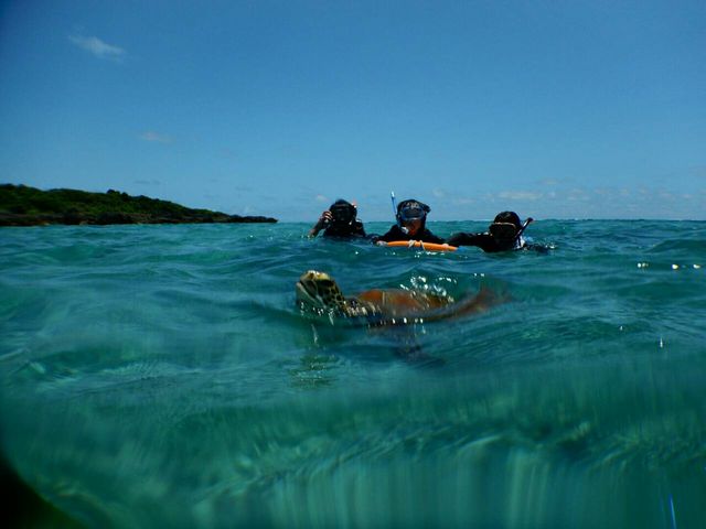 ���p�������Ă���E�~�K���ƁB_SEA ENJOY