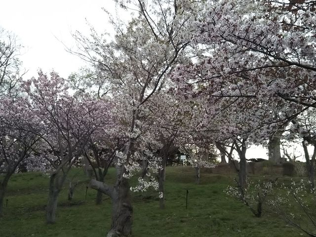 ���Ԍ����Ă�l����R���܂���_��{����