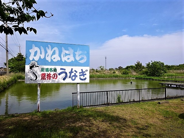 ԏꗠ̗{BrH_Ȃ̂˂͂