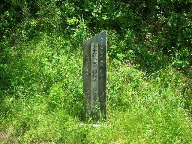 ToshiJapon̑\Y̓̕eʐ^1