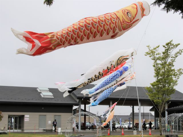 Ƃ񂳂̓̉w@쑊n̓eʐ^2