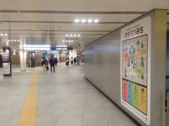 Ё[񂳂̏aJ݂ւ̓eʐ^2