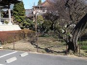 jkammy07����̐���@�̓��e�ʐ^1