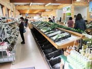 Ƃ񂳂̓̉w ܂ ʐ쑺YuԂ̗v̓eʐ^3