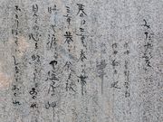 Ƃ񂳂̔Ђ΂̈eE̔̓eʐ^4