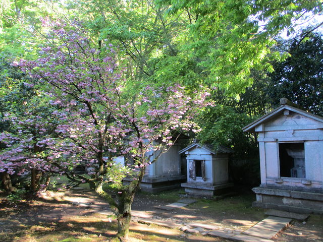 �O�c�Ƃ̐Ε__������