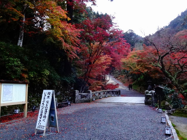 ��{�̍g�t_�g�t���