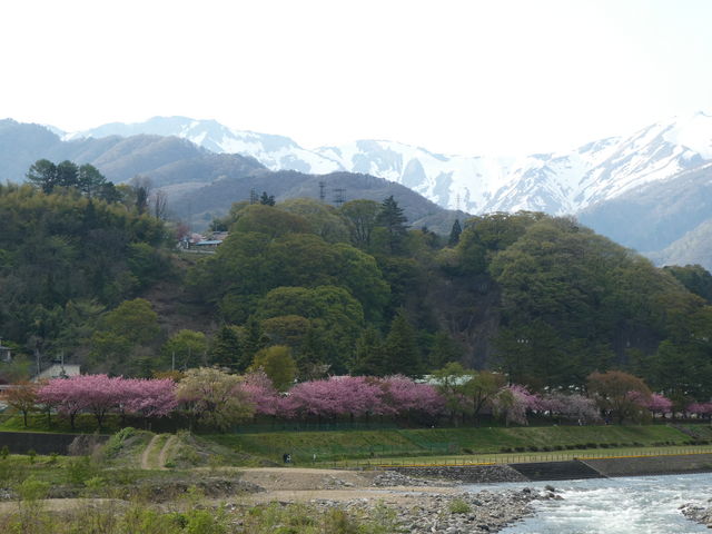 J猩ƐR̃RgXgꂢł_zKV