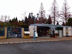 ǁ[̃K[f~[WAbւ̓eʐ^1