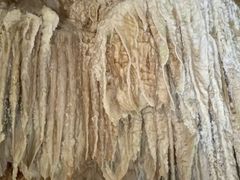 񂳂̐Ί_ߓւ̓eʐ^1