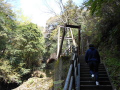 河津踊子滝見橋の口コミ一覧 じゃらんnet