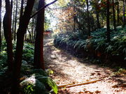 ǁ[̎ꌧߍ]xmԗΌ̓eʐ^1