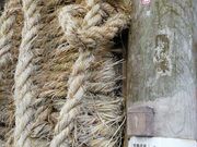 DoubleO7̕Sώ@m̓eʐ^2