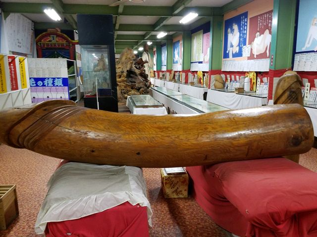 shy����̗��쐅�勽�̓��e�ʐ^1