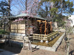 񂳂̌˓cΒnsNjbNLւ̓eʐ^2